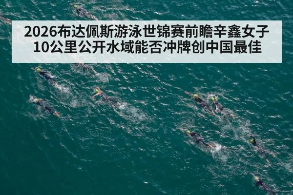 2026布达佩斯游泳世锦赛前瞻辛鑫女子10公里公开水域能否冲牌创中国最佳
